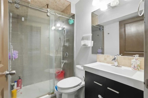 14 Skyview Ranch Street Ne, Calgary, AB - Indoor Photo Showing Bathroom