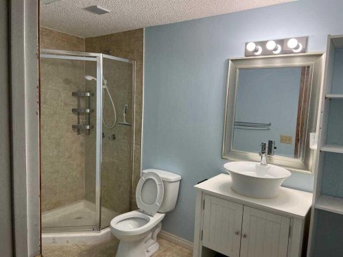 6946 Laguna Way Ne, Calgary, AB - Indoor Photo Showing Bathroom