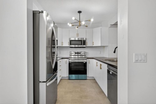 213 Cityscape Lane Ne, Calgary, AB - Indoor Photo Showing Kitchen With Double Sink With Upgraded Kitchen