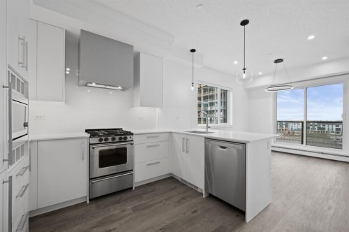 402-8370 Broadcast Avenue Sw, Calgary, AB - Indoor Photo Showing Kitchen With Upgraded Kitchen