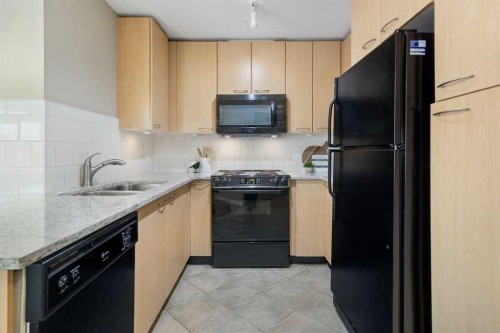 408-5115 Richard Road Sw, Calgary, AB - Indoor Photo Showing Kitchen With Double Sink
