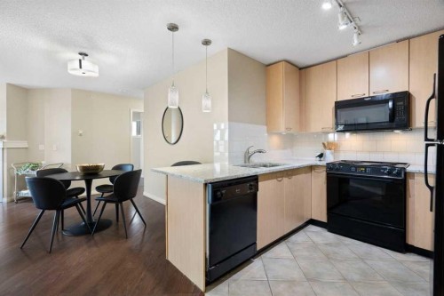 408-5115 Richard Road Sw, Calgary, AB - Indoor Photo Showing Kitchen
