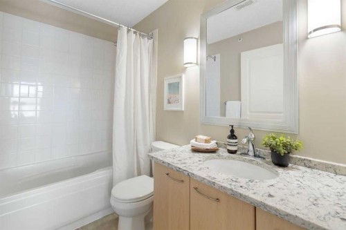 408-5115 Richard Road Sw, Calgary, AB - Indoor Photo Showing Bathroom