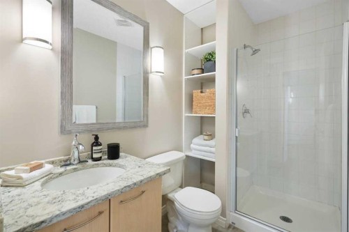 408-5115 Richard Road Sw, Calgary, AB - Indoor Photo Showing Bathroom