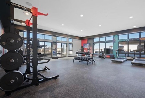 112-835 78 Street Sw, Calgary, AB - Indoor Photo Showing Gym Room