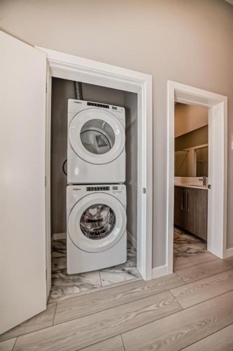 2418-60 Skyview Ranch Road Ne, Calgary, AB - Indoor Photo Showing Laundry Room