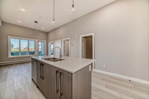 2418-60 Skyview Ranch Road Ne, Calgary, AB - Indoor Photo Showing Kitchen With Double Sink