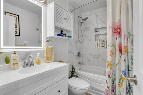 118 Bermuda Road Nw, Calgary, AB - Indoor Photo Showing Bathroom