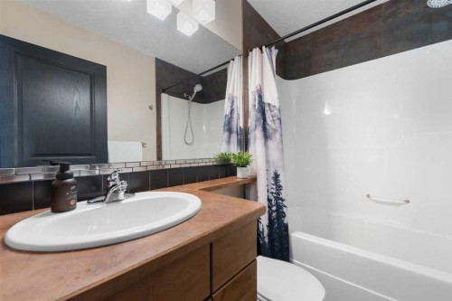 44 Cranberry Way Se, Calgary, AB - Indoor Photo Showing Bathroom