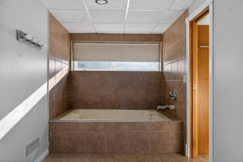 159 Pinecliff Way Ne, Calgary, AB - Indoor Photo Showing Bathroom