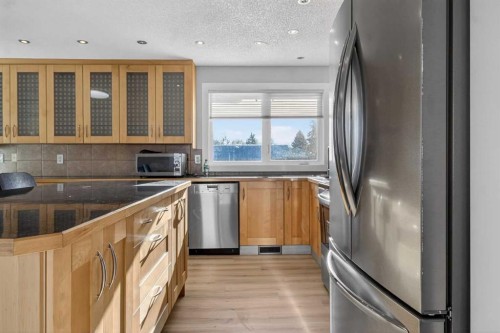159 Pinecliff Way Ne, Calgary, AB - Indoor Photo Showing Kitchen