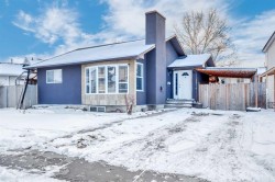 19 Castlepark Way NE Calgary, AB T3J 1R7