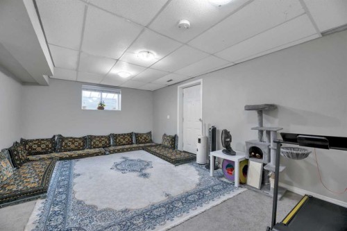 19 Castlepark Way Ne, Calgary, AB - Indoor Photo Showing Basement