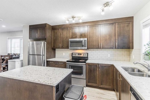 228 Red Embers Way Ne, Calgary, AB - Indoor Photo Showing Kitchen With Stainless Steel Kitchen With Double Sink With Upgraded Kitchen