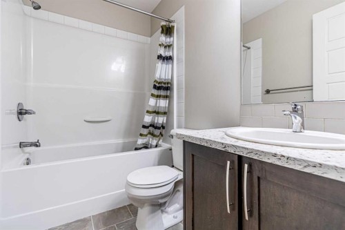 228 Red Embers Way Ne, Calgary, AB - Indoor Photo Showing Bathroom