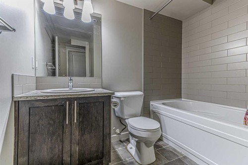 228 Red Embers Way Ne, Calgary, AB - Indoor Photo Showing Bathroom