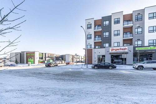 228 Red Embers Way Ne, Calgary, AB - Outdoor