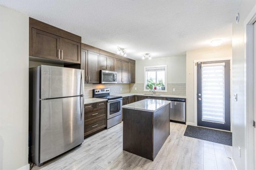 228 Red Embers Way Ne, Calgary, AB - Indoor Photo Showing Kitchen With Stainless Steel Kitchen With Upgraded Kitchen