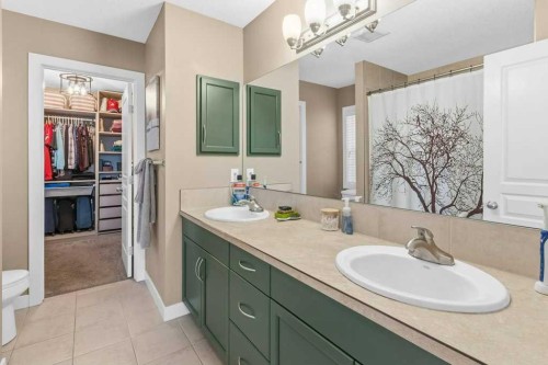 32 Royal Birch Park Nw, Calgary, AB - Indoor Photo Showing Bathroom