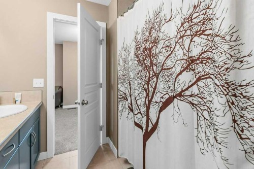 32 Royal Birch Park Nw, Calgary, AB - Indoor Photo Showing Bathroom