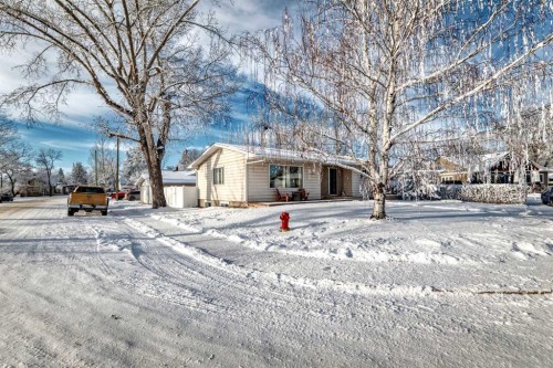 207 6A Avenue, Three Hills, AB - Outdoor