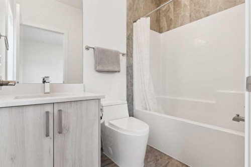51 Midgrove Drive Sw, Airdrie, AB - Indoor Photo Showing Bathroom