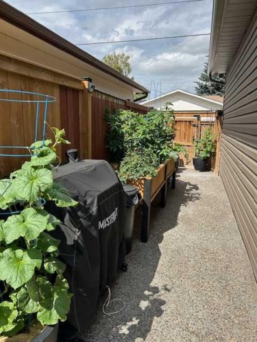 4728 Rundlehorn Drive Ne, Calgary, AB - Outdoor With Deck Patio Veranda