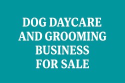 444 Dog Daycare Avenue SW Calgary, AB T2H 2T3