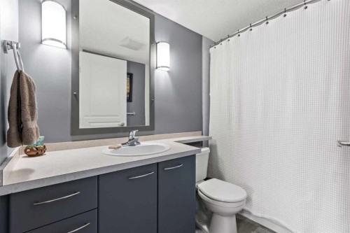 116-5115 Richard Road Sw, Calgary, AB - Indoor Photo Showing Bathroom