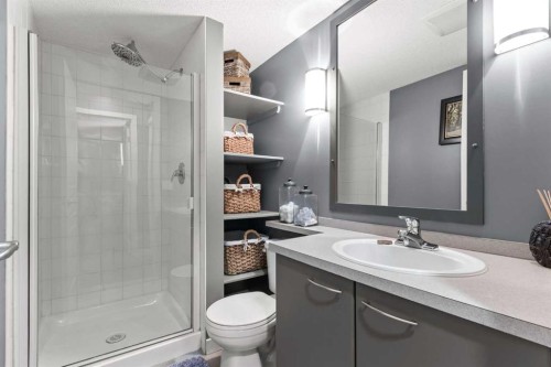 116-5115 Richard Road Sw, Calgary, AB - Indoor Photo Showing Bathroom