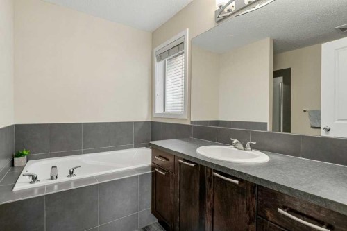 24 Copperpond Park Se, Calgary, AB - Indoor Photo Showing Bathroom