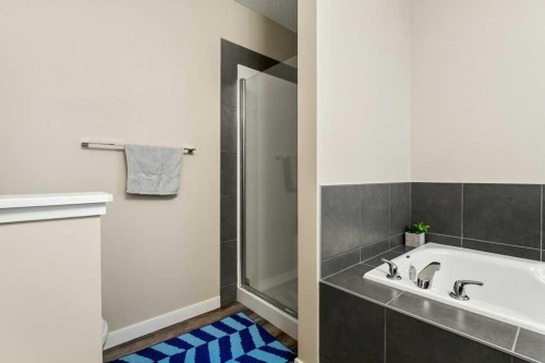 24 Copperpond Park Se, Calgary, AB - Indoor Photo Showing Bathroom
