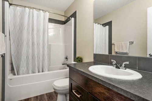 24 Copperpond Park Se, Calgary, AB - Indoor Photo Showing Bathroom