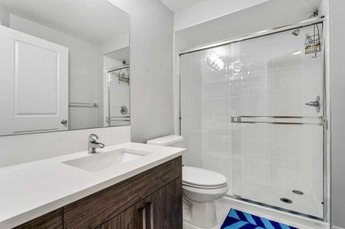 24 Copperpond Park Se, Calgary, AB - Indoor Photo Showing Bathroom