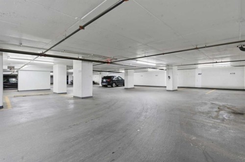 1002-1122 3 Street Se, Calgary, AB - Indoor Photo Showing Garage