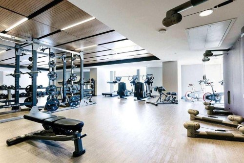 1002-1122 3 Street Se, Calgary, AB - Indoor Photo Showing Gym Room