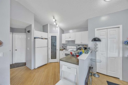 19 Saddlemont Way Ne, Calgary, AB - Indoor Photo Showing Kitchen