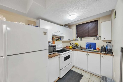 19 Saddlemont Way Ne, Calgary, AB - Indoor Photo Showing Kitchen With Double Sink
