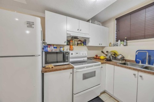 19 Saddlemont Way Ne, Calgary, AB - Indoor Photo Showing Kitchen With Double Sink