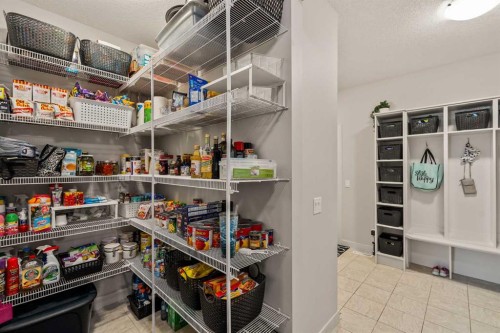 6 Crestridge Mews Sw, Calgary, AB - Indoor With Storage