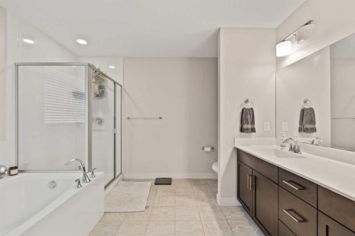 6 Crestridge Mews Sw, Calgary, AB - Indoor Photo Showing Bathroom