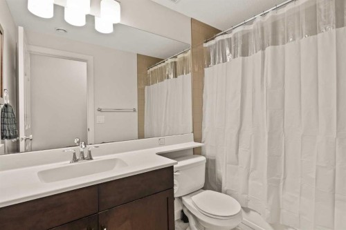 6 Crestridge Mews Sw, Calgary, AB - Indoor Photo Showing Bathroom