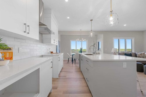 19 Clearwater Lane, Chestermere, AB - Indoor Photo Showing Kitchen With Upgraded Kitchen