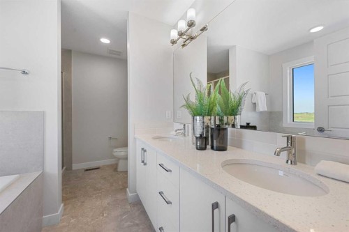 19 Clearwater Lane, Chestermere, AB - Indoor Photo Showing Bathroom