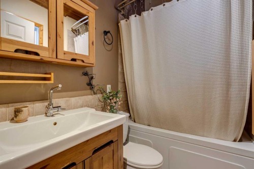 51 Manyhorses Drive, Rural Rocky View County, AB - Indoor Photo Showing Bathroom