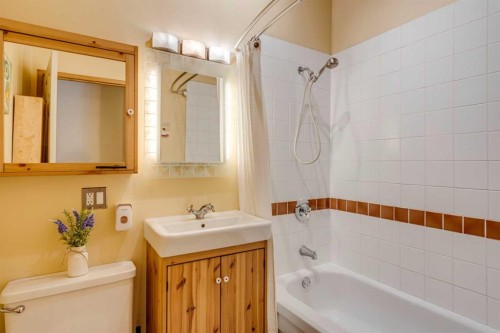 51 Manyhorses Drive, Rural Rocky View County, AB - Indoor Photo Showing Bathroom