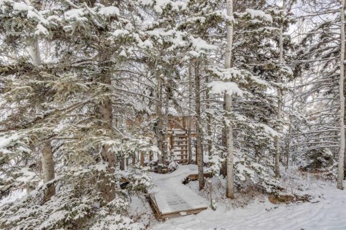 51 Manyhorses Drive, Rural Rocky View County, AB - Outdoor