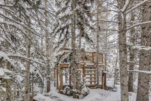 51 Manyhorses Drive, Rural Rocky View County, AB - Outdoor