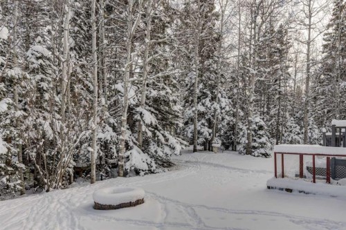 51 Manyhorses Drive, Rural Rocky View County, AB - Outdoor