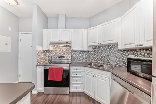 209-1000 Applevillage Court Se, Calgary, AB - Indoor Photo Showing Kitchen With Double Sink